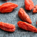 체중 감량을위한 뜨거운 판매 wolfberry / goji 열매